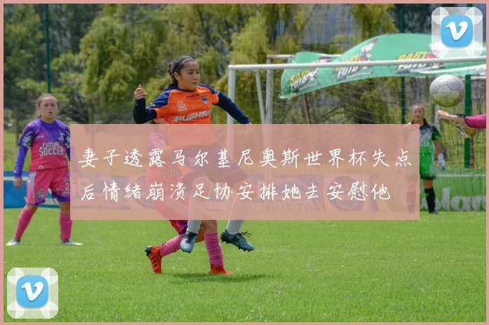 妻子透露马尔基尼奥斯世界杯失点后情绪崩溃足协安排她去安慰他
