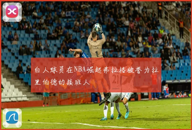 白人球员在NBA崛起弗拉格被誉为拉里伯德的接班人